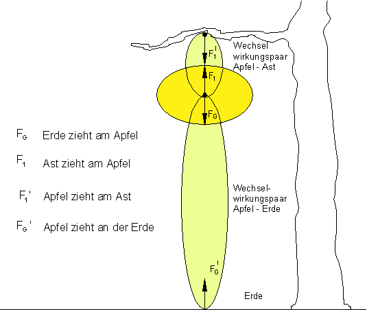 des_0128
