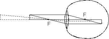 des_0260